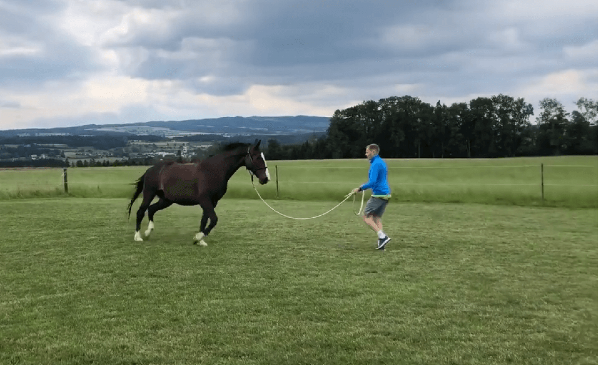 Der mit dem Pferd tanzt